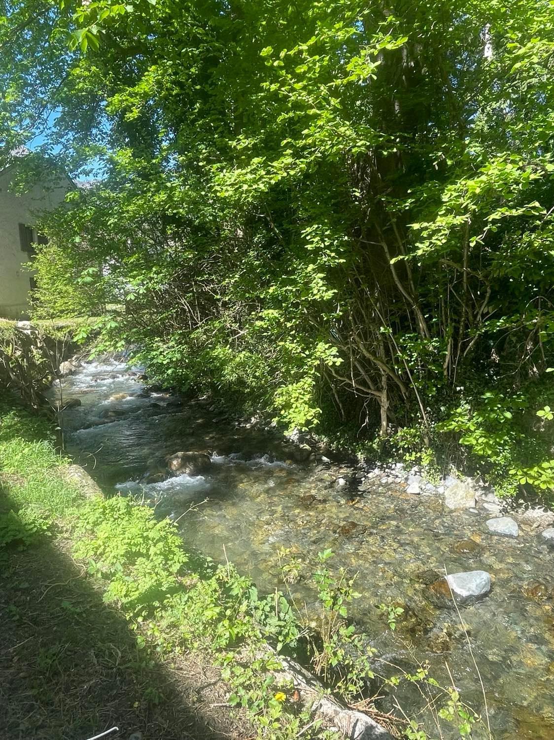 Appartement Avec Piscine En Vallee D'Ossau Bielle Eksteriør billede